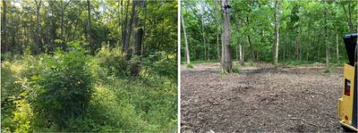 jrk forestry mulching before after