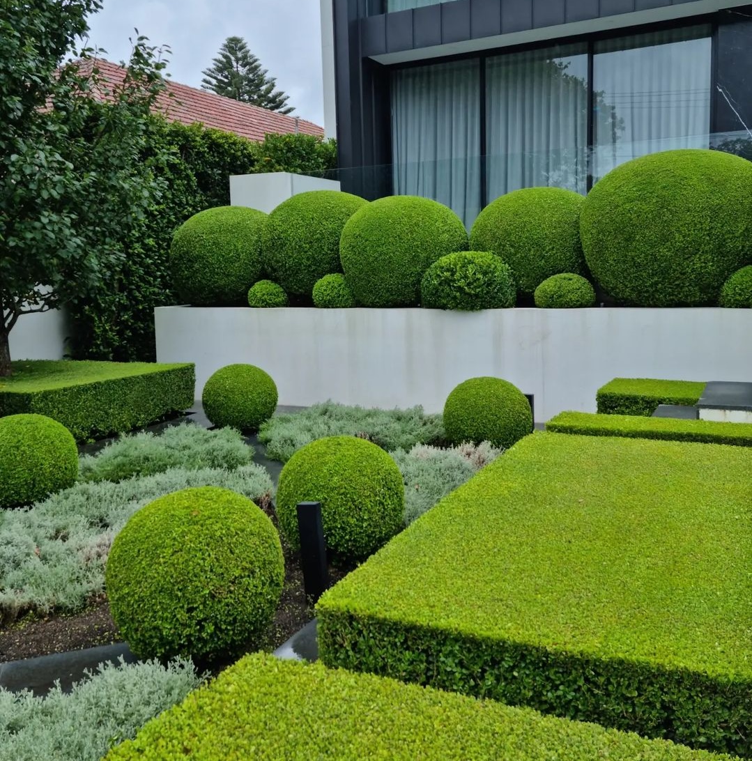 How To Shape And Maintain Perfect Topiary In Victoria, BC