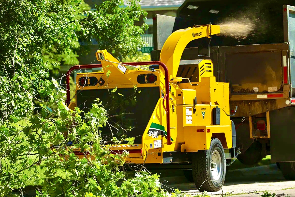 Hedge Removal Service